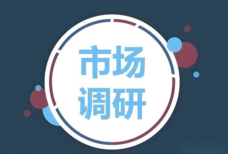 洞悉信息时代的上海:信息咨询公司的行业聚焦与未来展望